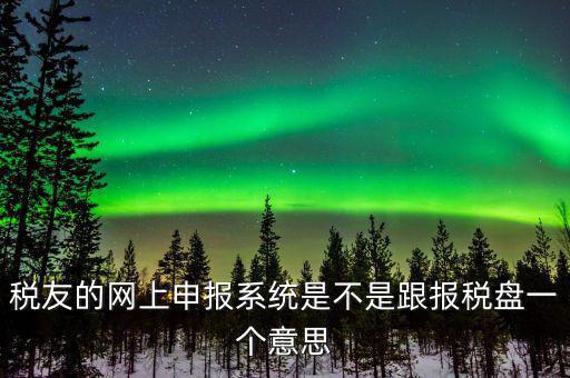 稅友的網上申報系統是不是跟報稅盤一個意思