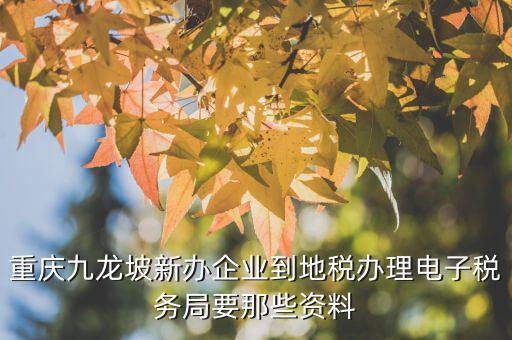 重慶九龍坡新辦企業到地稅辦理電子稅務局要那些資料