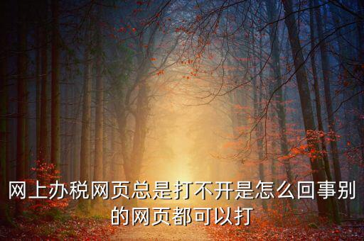 網上辦稅網頁總是打不開是怎么回事別的網頁都可以打