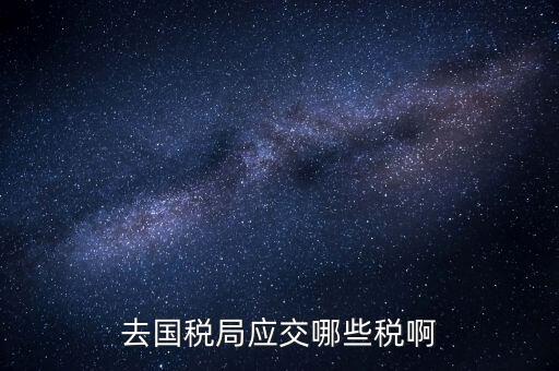 去國稅局應交哪些稅啊