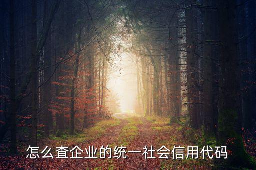 怎么査企業的統一社會信用代碼