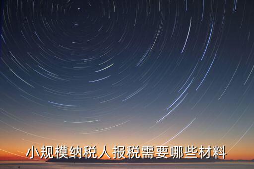 小規模納稅人報稅需要哪些材料