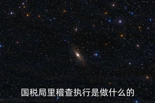國稅局里稽查執行是做什么的