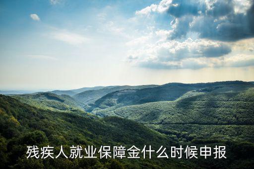 殘疾人就業保障金什么時候申報