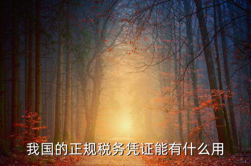 我國的正規稅務憑證能有什么用