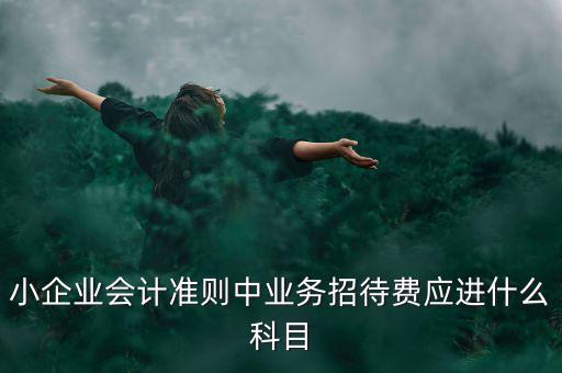 小企業發生的業務招待費通過什么科目核算，業務招待費屬于什么會計科目