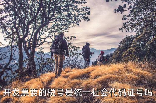 開發票要的稅號是統一社會代碼證號嗎