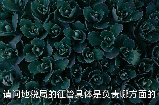 請問地稅局的征管具體是負(fù)責(zé)哪方面的