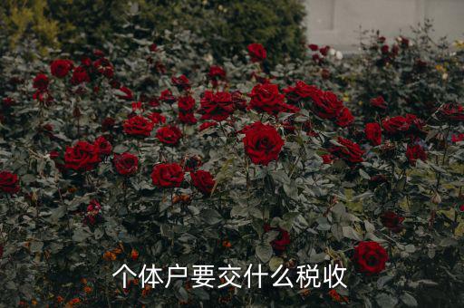 新開個體戶要交什么稅，我想開個小店當個體戶請問要交什么稅