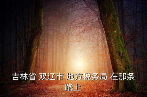 吉林市地稅局在什么位置，吉林市地方稅務局第二直屬稅務局在哪個區