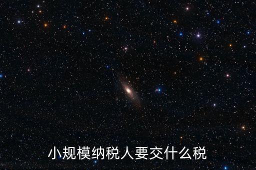 小規模納稅人要交什么稅