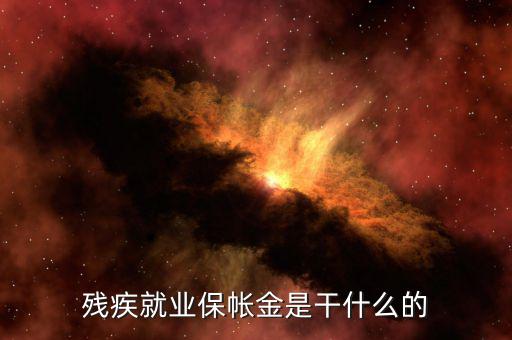 殘疾人保障金有什么用，殘疾就業保帳金是干什么的
