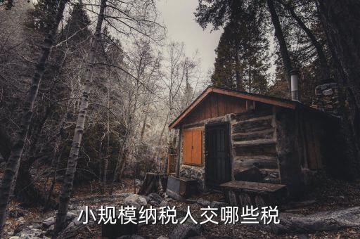 小規模納稅人交哪些稅