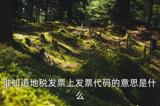 河北地稅發(fā)票的查詢碼是什么意思，如何查詢地稅發(fā)票開票點(diǎn)注冊碼是什么