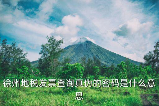 徐州地稅發票查詢真偽的密碼是什么意思