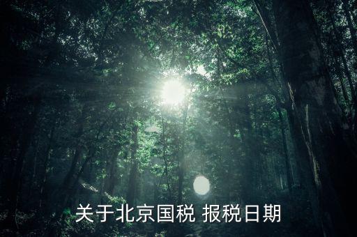 關于北京國稅 報稅日期