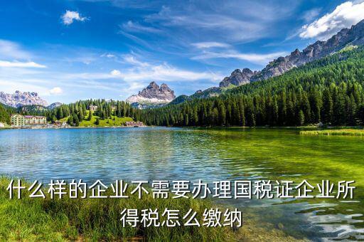什么樣的企業不需要辦理國稅證企業所得稅怎么繳納