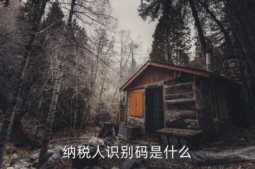 稅務(wù)識(shí)別碼有什么用，納稅人識(shí)別碼是什么