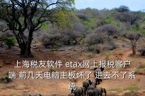 上海稅友軟件 etax網上報稅客戶端 前幾天電腦主板壞了 進去不了系統