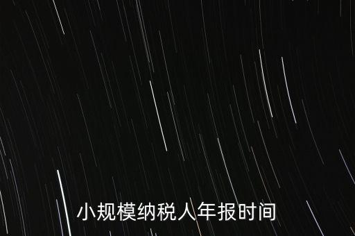 納稅申報年報什么時候，小規模納稅人年報時間