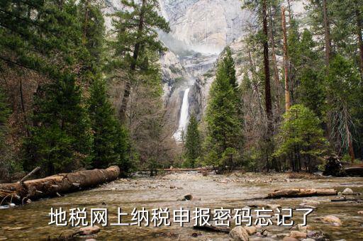 地稅網上納稅申報密碼忘記了