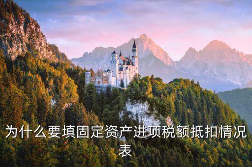 申報表固定資產進項稅有什么作用，國稅報表中固定資產進項稅報表