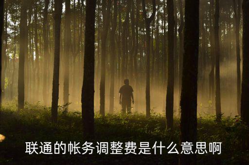 聯通的帳務調整費是什么意思啊