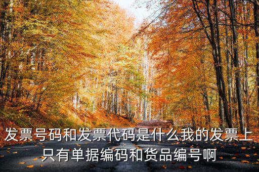 發票號碼和發票代碼是什么我的發票上只有單據編碼和貨品編號啊