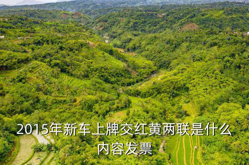 2015年新車上牌交紅黃兩聯是什么內容發票