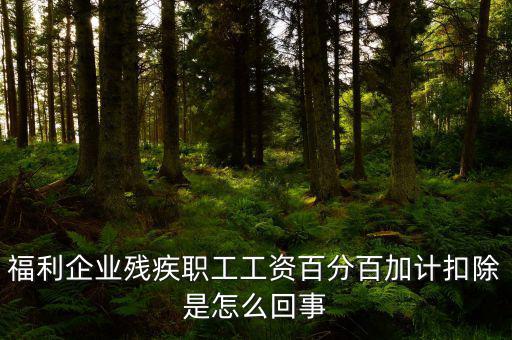福利企業殘疾職工工資百分百加計扣除是怎么回事