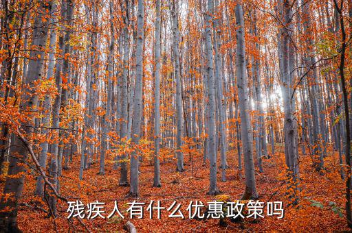 殘疾人有什么優惠政策嗎
