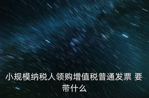 小規(guī)模納稅人領購增值稅普通發(fā)票 要帶什么