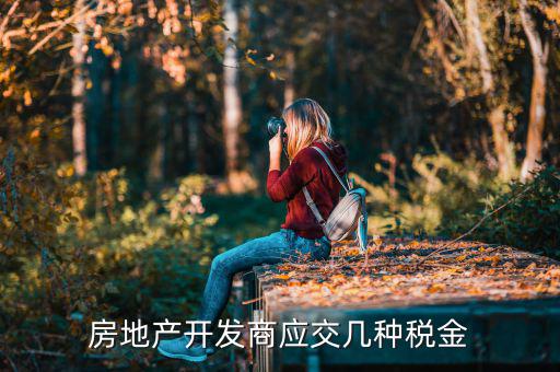 房地產公司交什么稅，房地產公司都要交什么稅