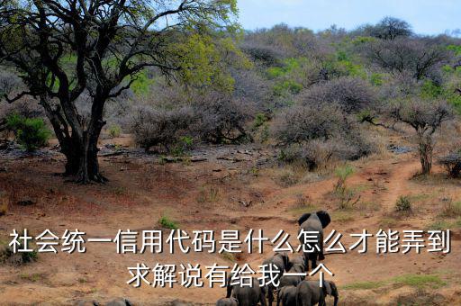 單位統一社會信息用代碼是什么，統一社會信用代碼9至17位