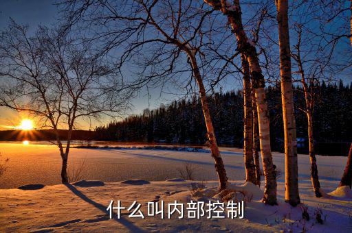 什么叫內部控制
