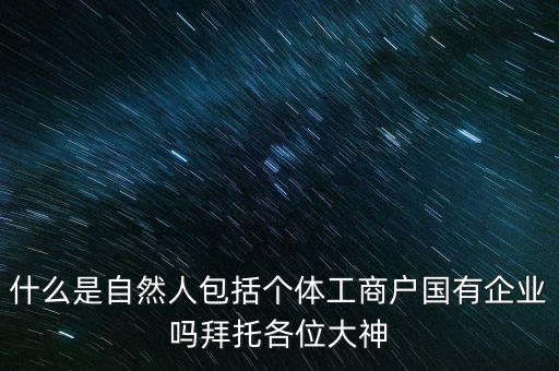 什么是自然人包括個體工商戶國有企業嗎拜托各位大神