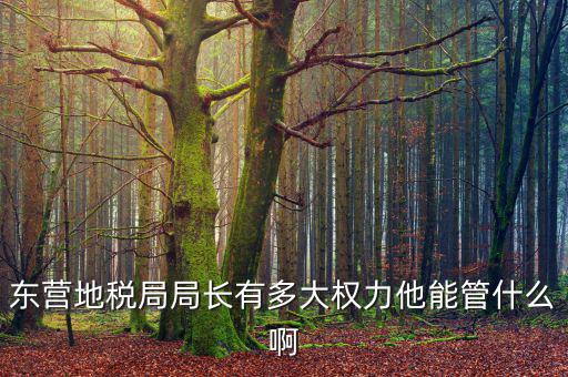 東營地稅局局長有多大權力他能管什么啊