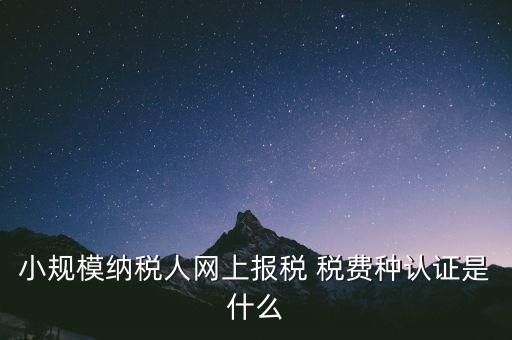 小規模納稅人網上報稅 稅費種認證是什么