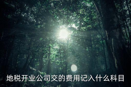 地稅開業公司交的費用記入什么科目