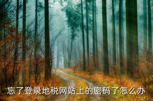忘了登錄地稅網站上的密碼了怎么辦
