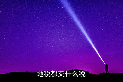 地稅要交什么稅，地稅應交哪些稅