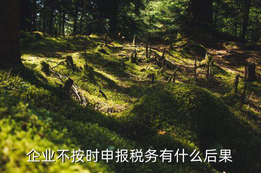 企業不按時申報稅務有什么后果