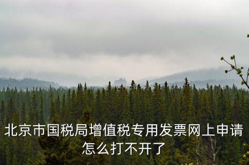 北京市國稅局增值稅專用發票網上申請怎么打不開了