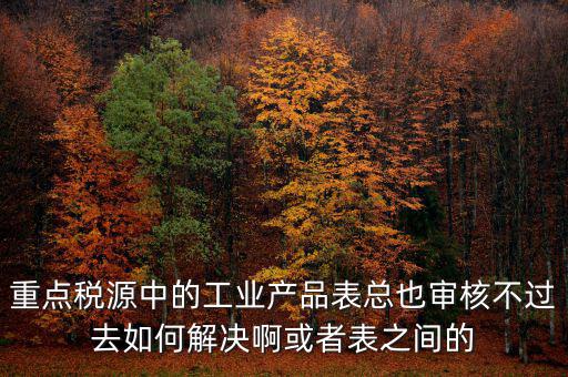 重點稅源中的工業產品表總也審核不過去如何解決啊或者表之間的