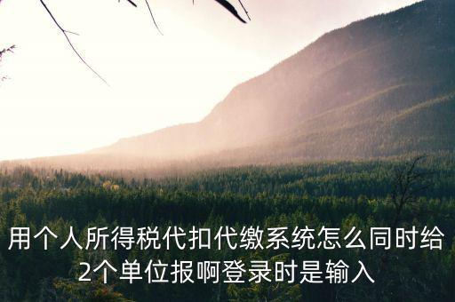 用個人所得稅代扣代繳系統怎么同時給2個單位報啊登錄時是輸入