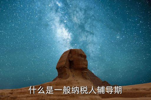 一般納稅人有輔導期是什么意思，什么是輔導期一般納稅人
