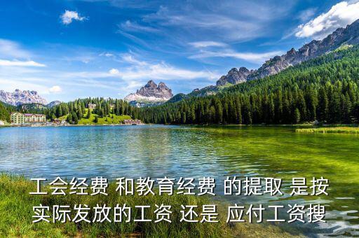 工會經(jīng)費(fèi) 和教育經(jīng)費(fèi) 的提取 是按實(shí)際發(fā)放的工資 還是 應(yīng)付工資搜
