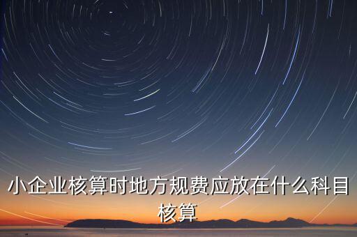 小企業核算時地方規費應放在什么科目核算
