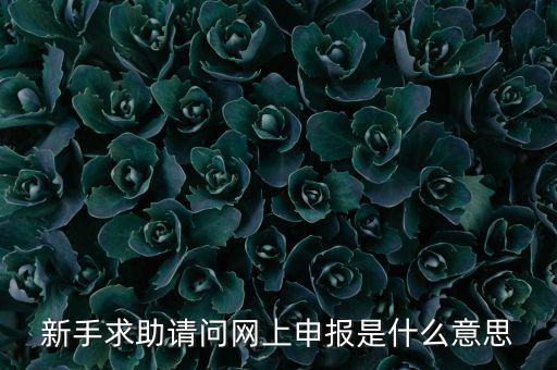 新手求助請問網上申報是什么意思