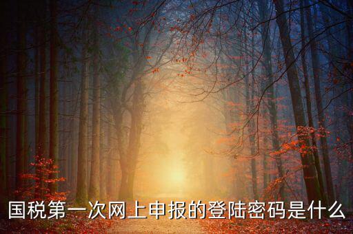 國稅申報登陸密碼是什么，國稅第一次網上申報的登陸密碼是什么